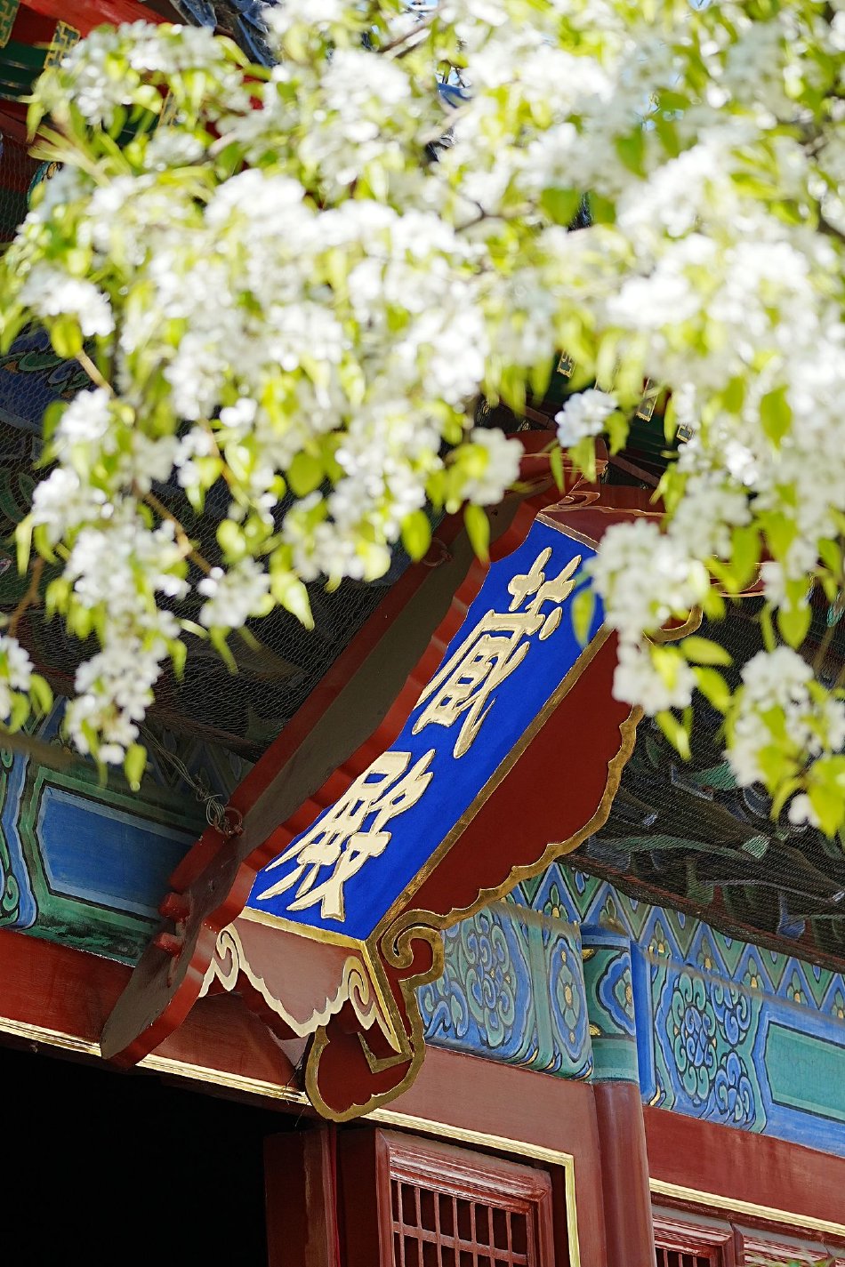中文字幕無碼