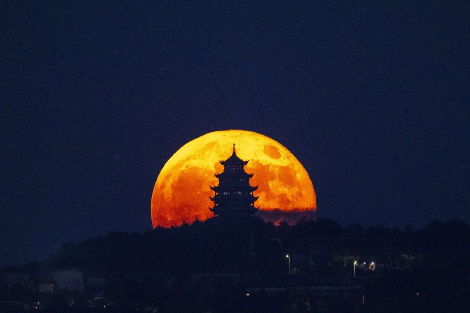 51丨国产丨丝袜精品入口