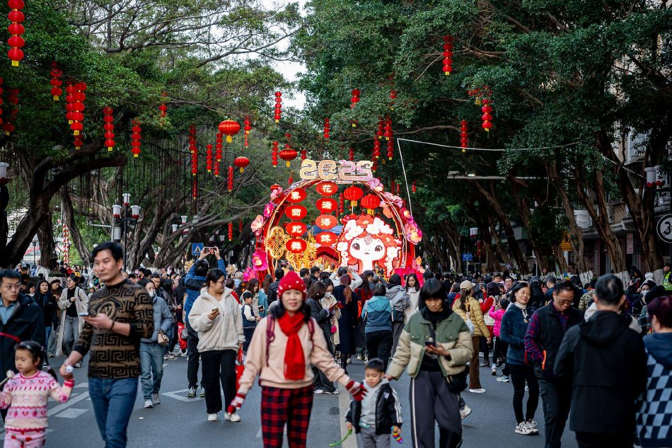 靠逼视频软件