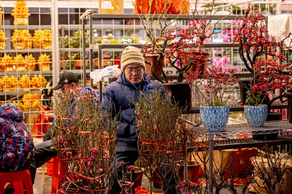 台灣二阿姨淑惠