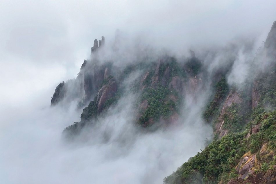 李丽珍无码性爱在线观看