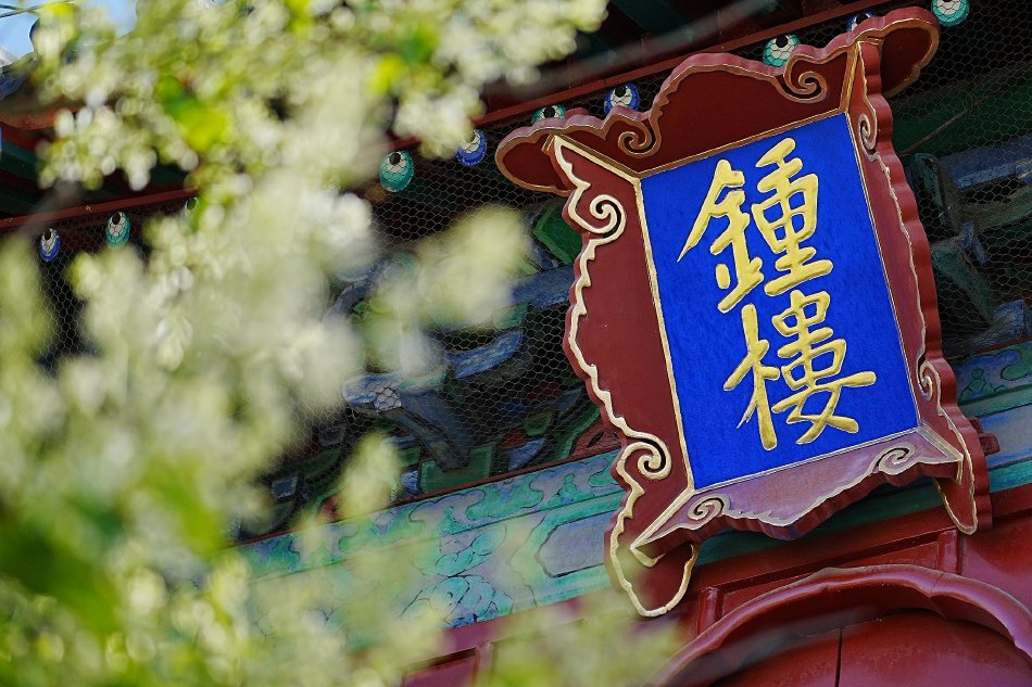 男插女网站