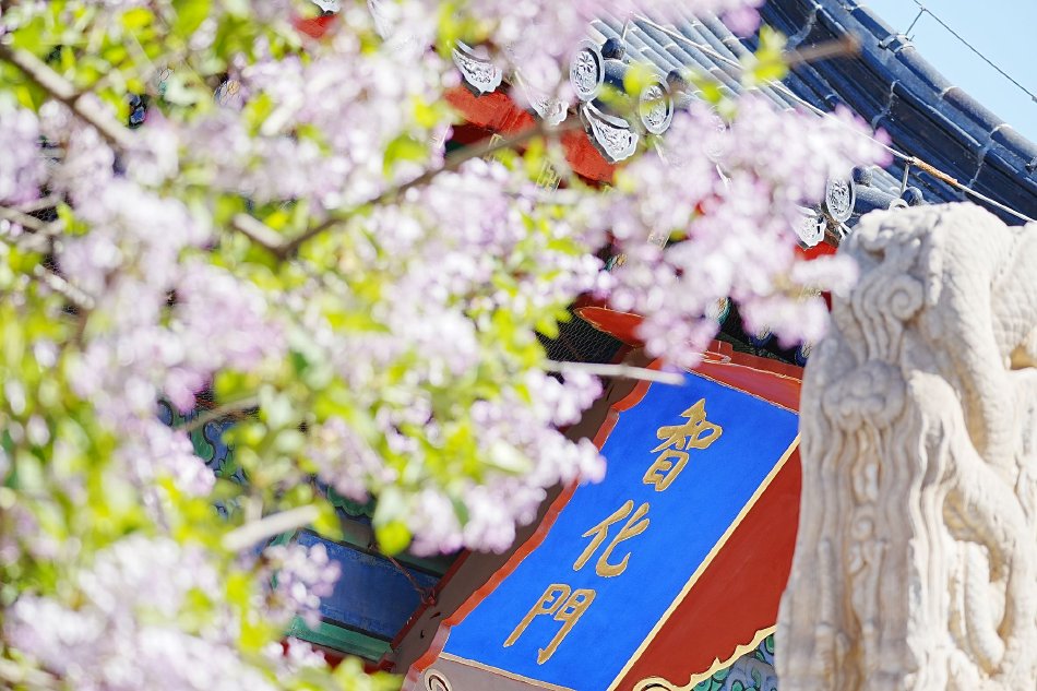 性欧