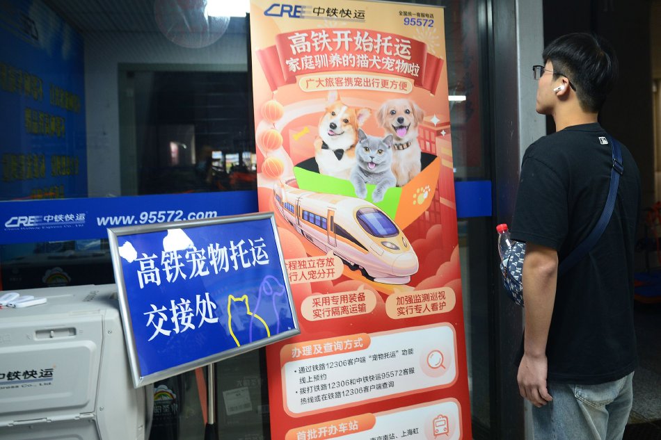 鞠婧祎被 狂揉大胸,小说