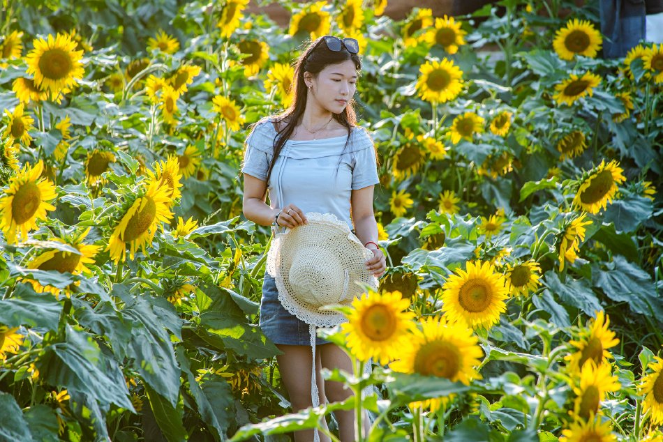 歐美陰毛多