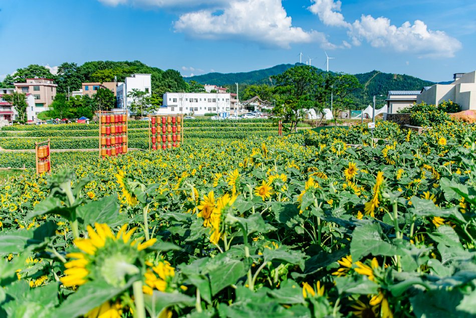 大陆 色 片