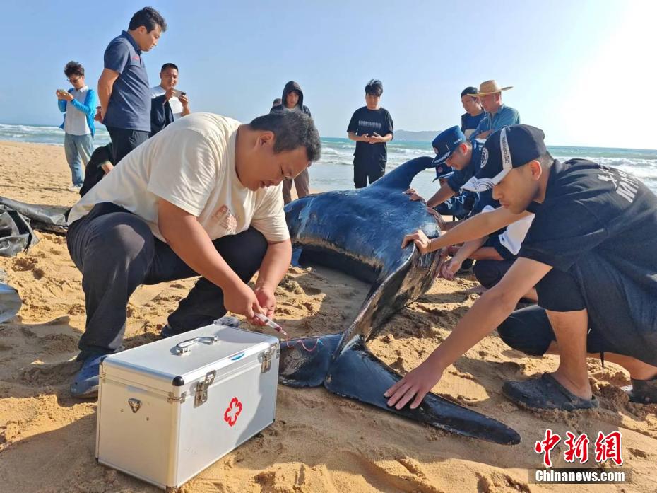 黄色视频外网