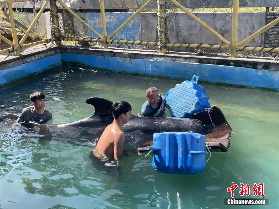 国产精品亲子伦对白