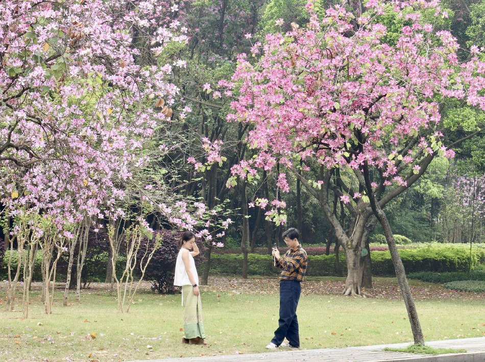 蓬莱仙山杨梵写真大全