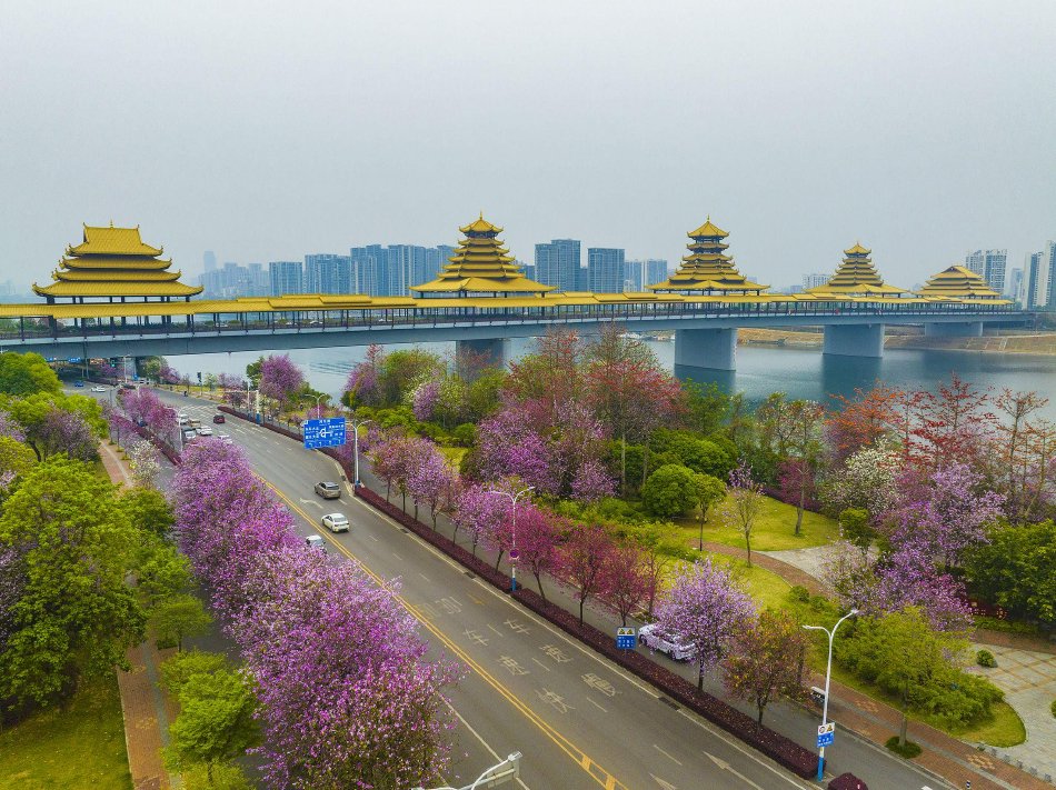 小毛片