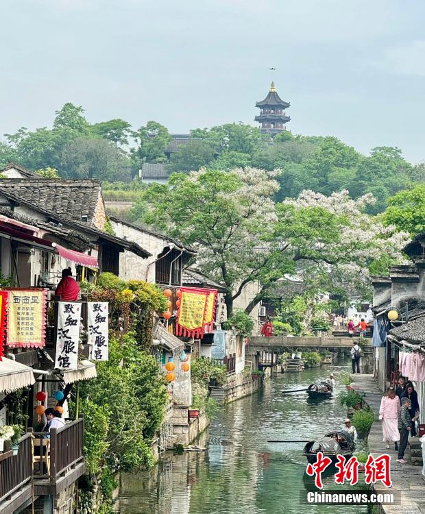 张津瑜16分钟视频劲爆