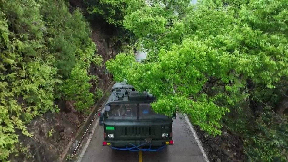 高清无码中出后入内射在线观看
