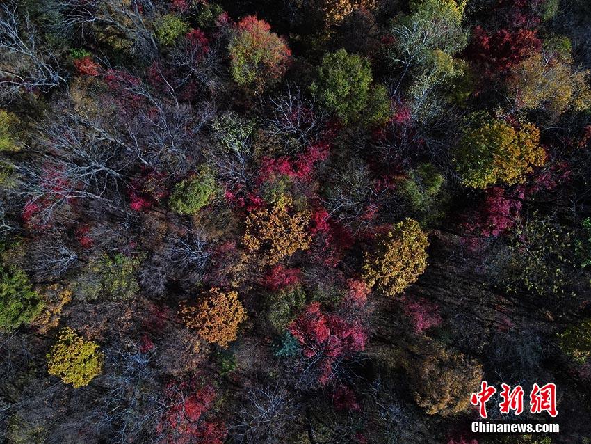 三年中国高清免费看