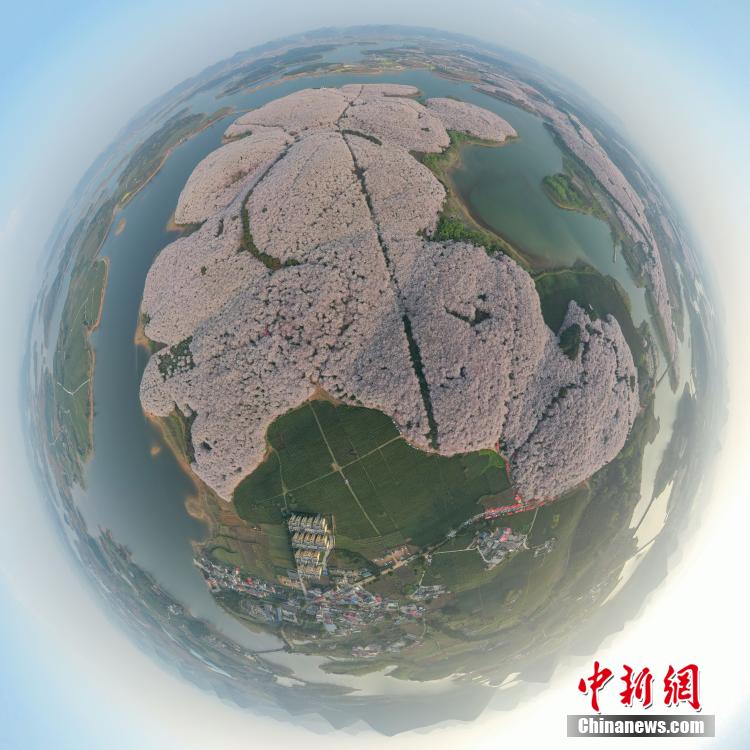 三蒲惠理子肉欲熟妇中出