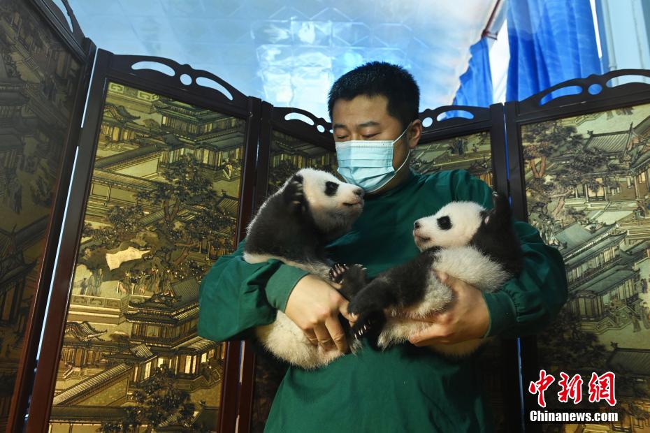 女士官長台灣