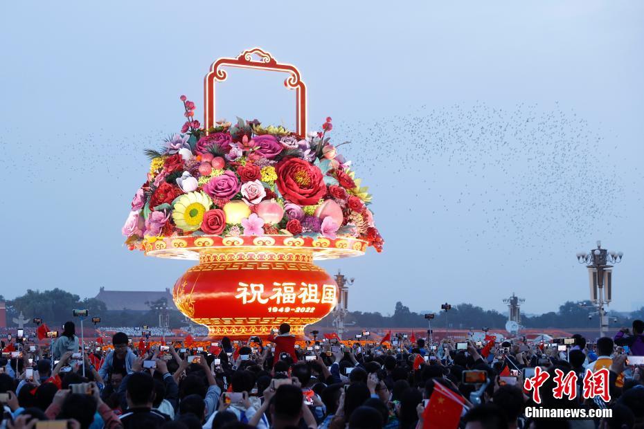 张悠雨两腿之间毛毛图片