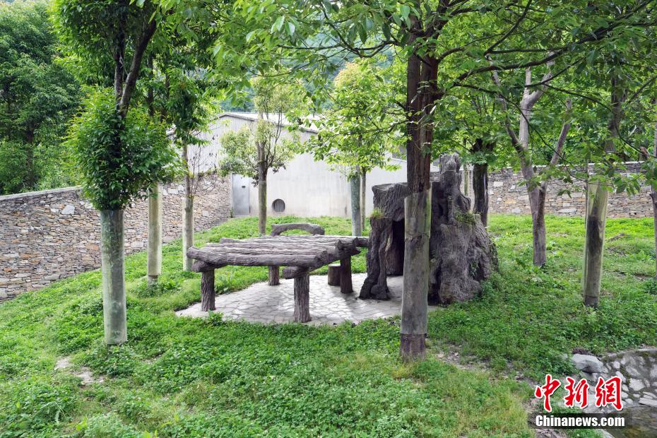 国产又爽 又黄 免费