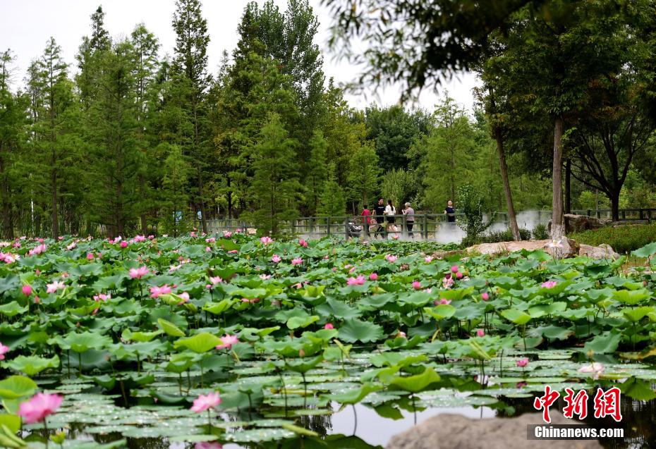 日老女人的B