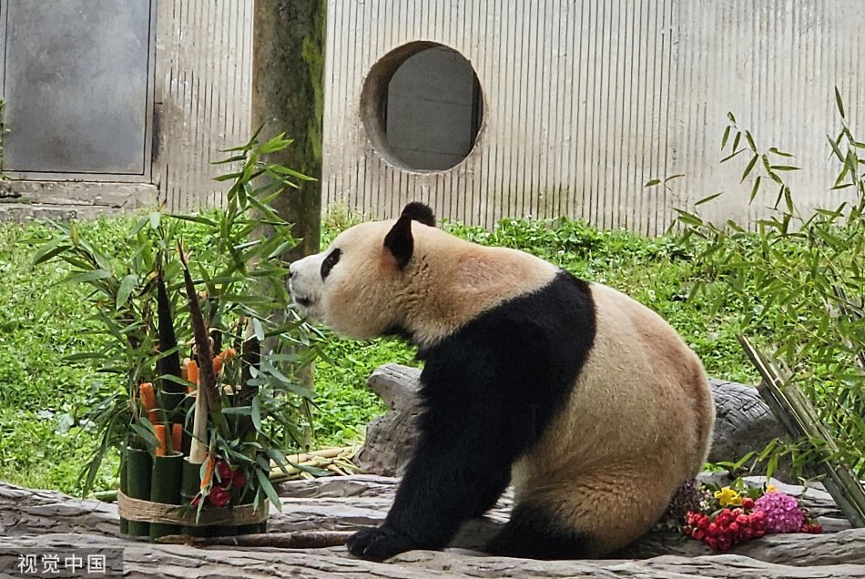 亚洲老逼网站
