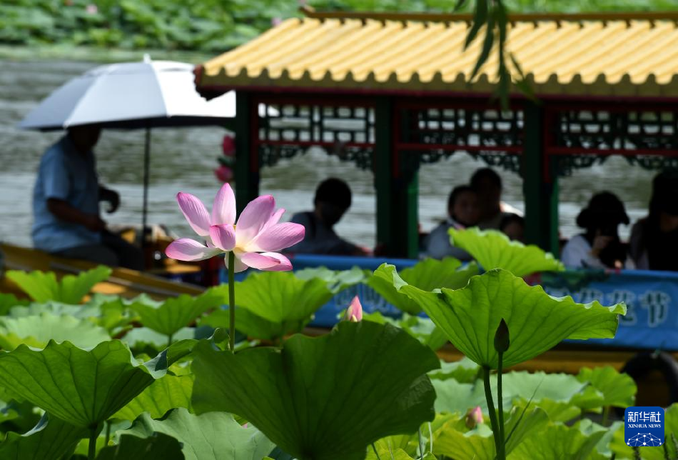 三极黄色片