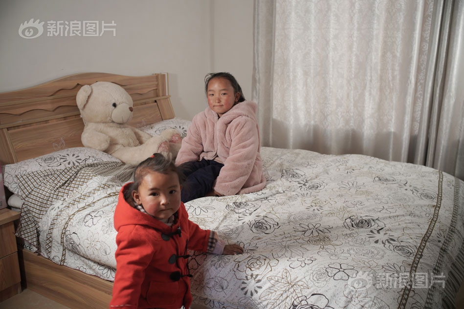 免费播放永久黄色视频