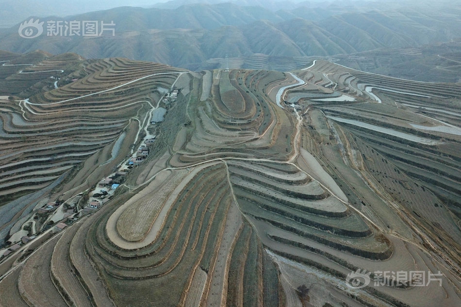 大地资源二中文在线观看高清