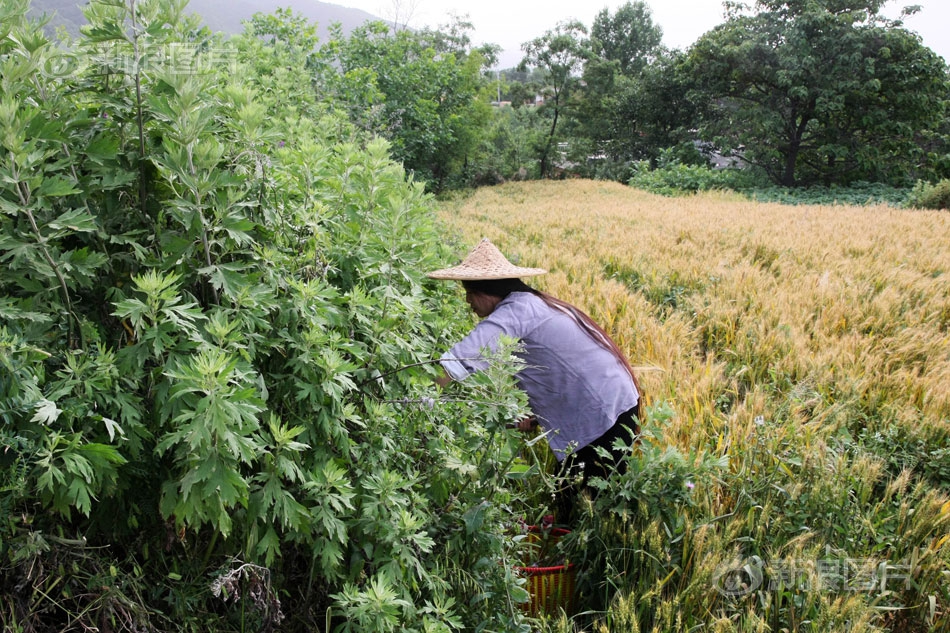 可以看女生隐私部位的软件