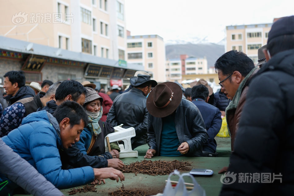中国新嫩模肉体艺术最新消息