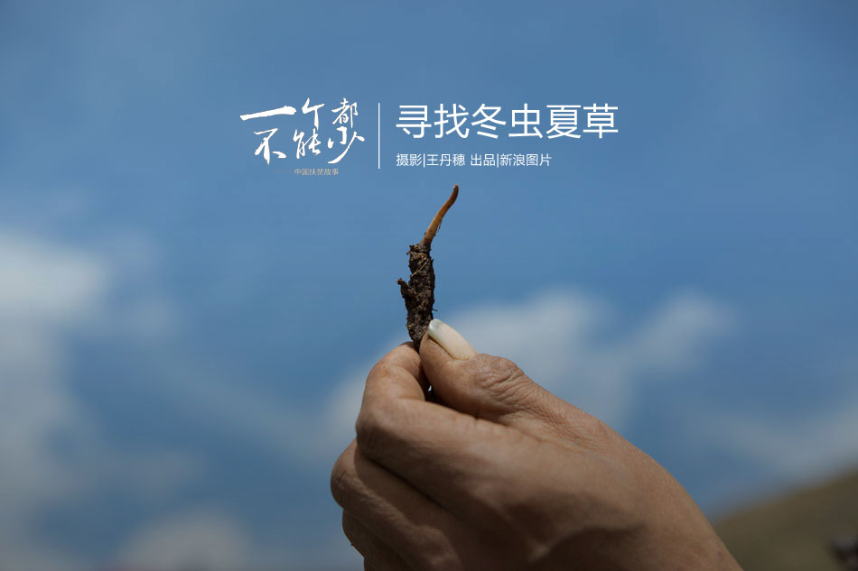 麻 豆 性爱 网