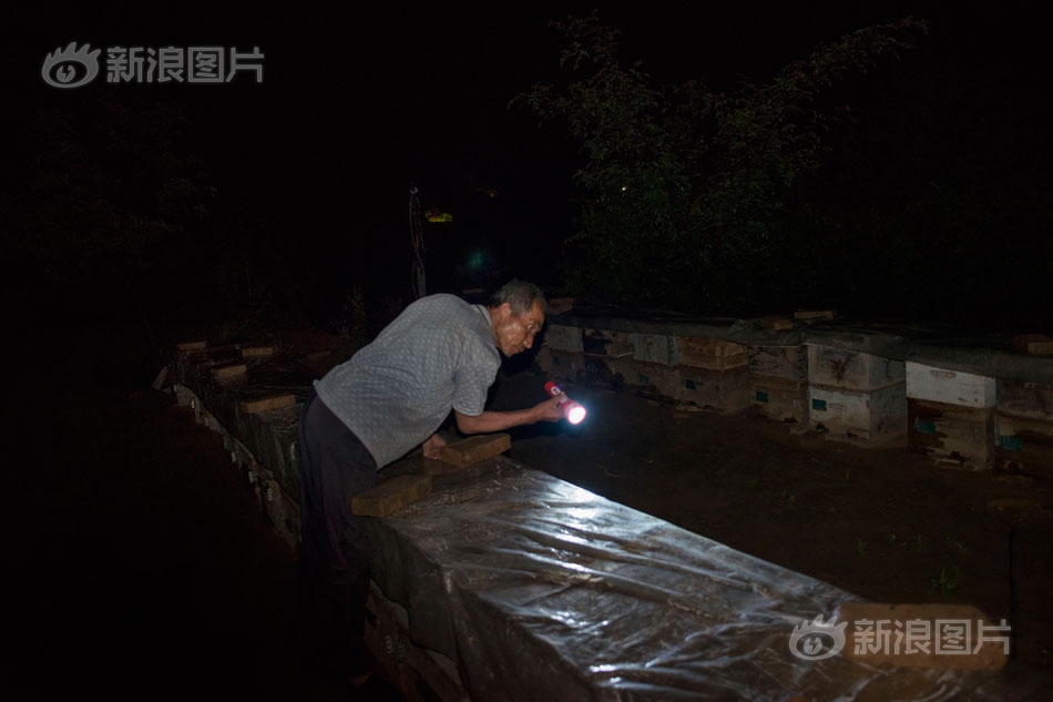 黄色Av免费在线下载