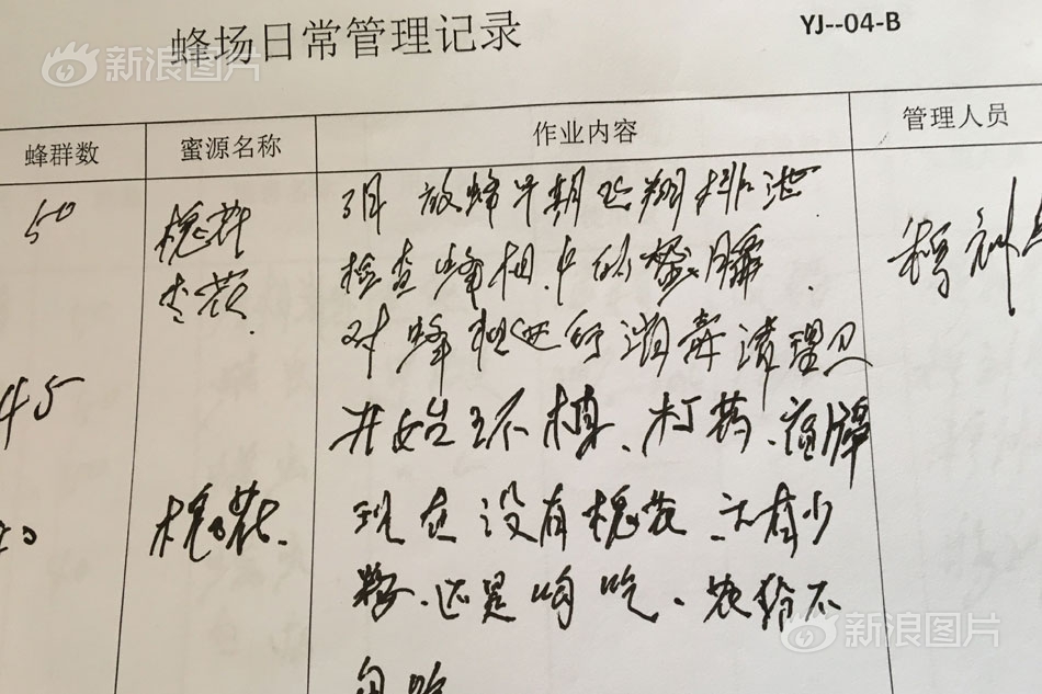 国产高清AV