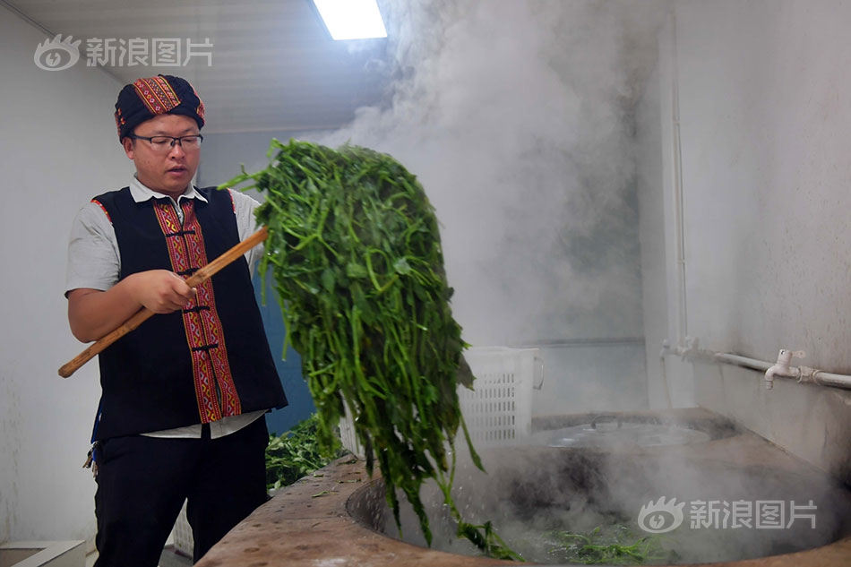 动漫扒开美女 狂揉 真人