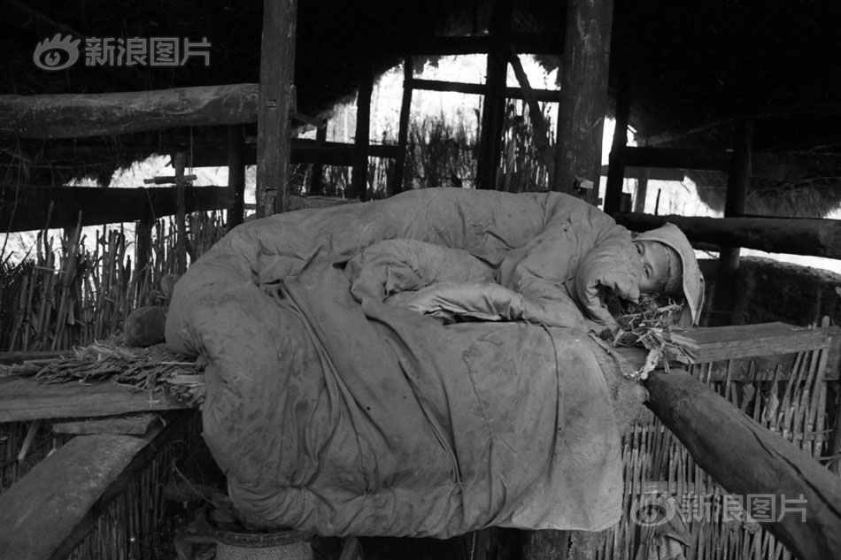 妃光纪，在线观看与剧情介绍