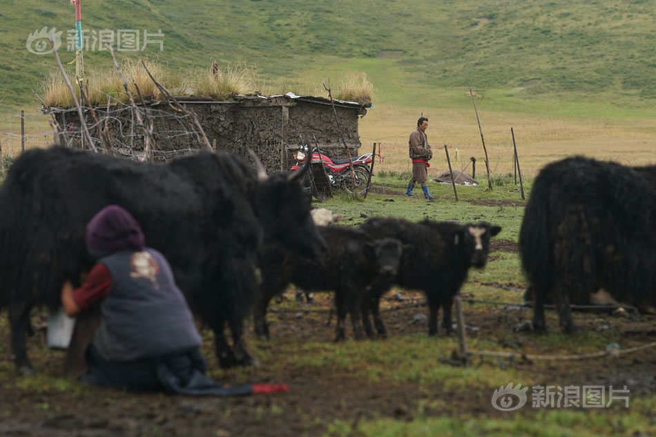 黄片打开入口，免费观看