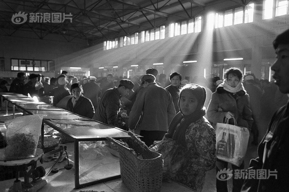 海鸣馆老头视频，免费在线观看与剧情介绍