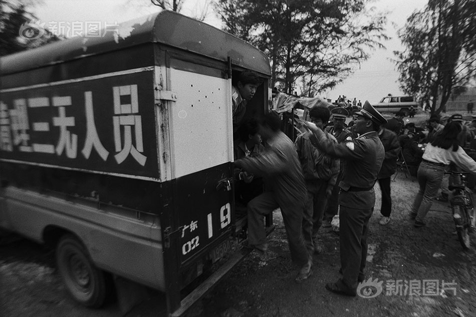 日荷兰女人逼