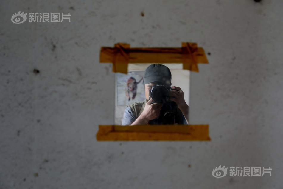 久久精品视频免费