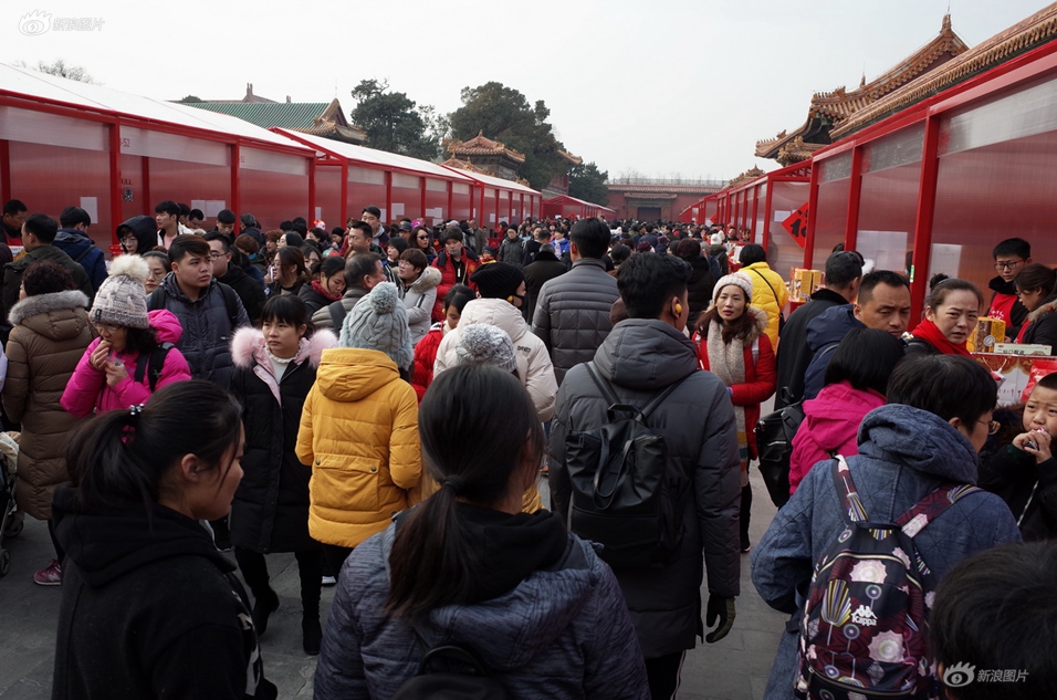 主产区粮食企业累计收购秋粮超4000万吨