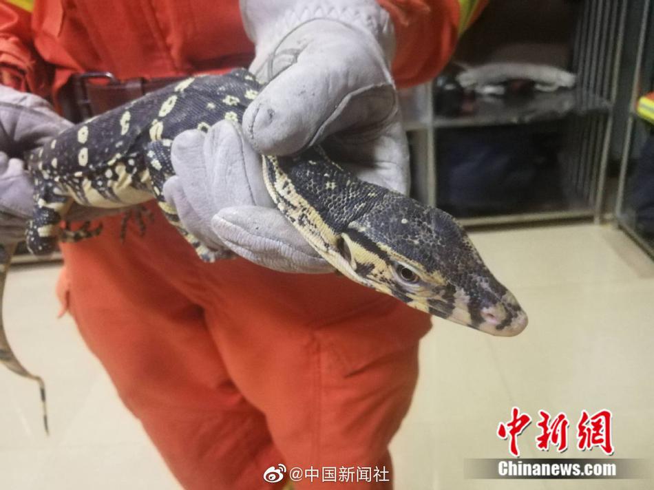 男生桶女生肌肌