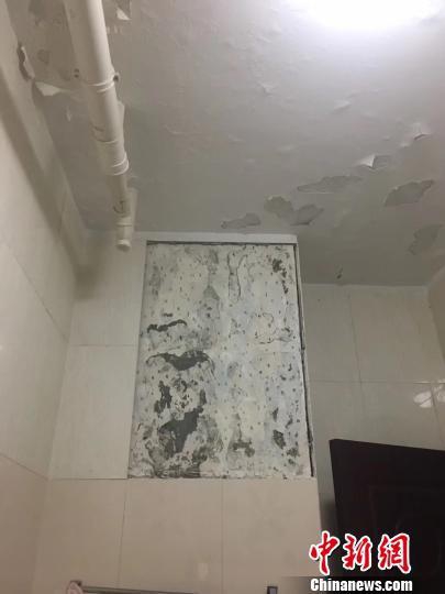 欧美女三级片一级片视频下
