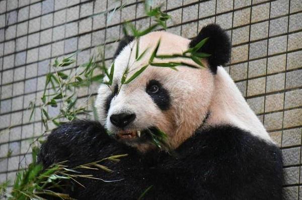 [找对象] 气质满分妹子 爱宠物爱生活