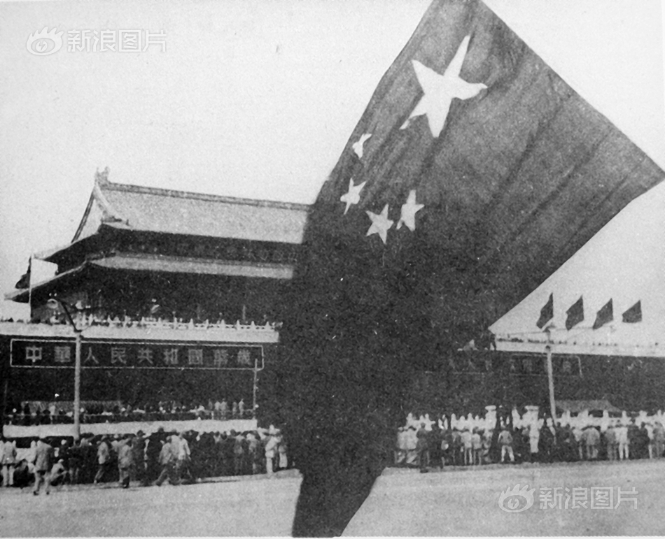 无码黄色网，免费在线观看