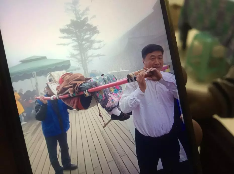 麥紫莉