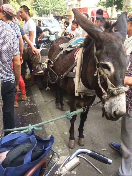 奔馳4S店員工試車撞人 車主