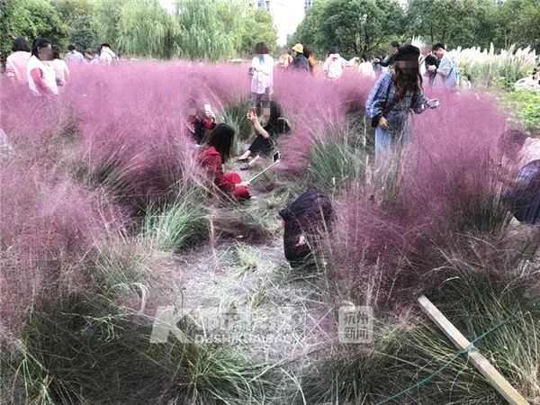 芜湖：纸艺文化让非遗文化在青少年心中生根发芽
