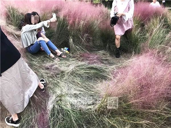 黄色视频大片孕妇性生活