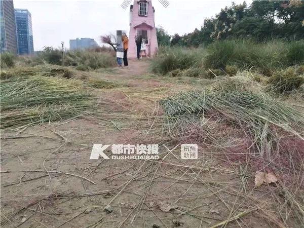 无尽 裸体 白丝拔萝卜