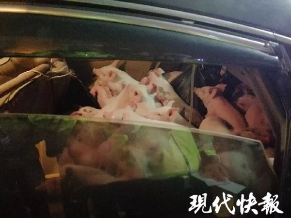 在线观看，挠小姨的脚心