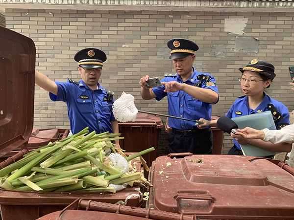 性欧美三乳房
