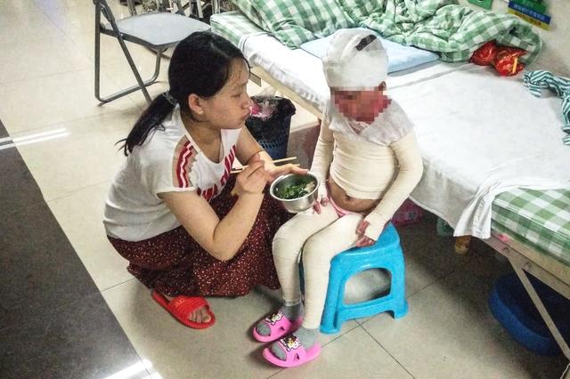 抖抈